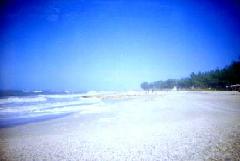 [AnnaMaria Island9]