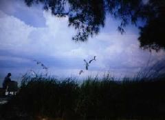 [AnnaMaria Island2]