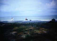 [Anna Maria Island]