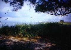 [AnnaMaria Island5]