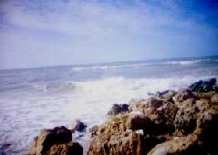 [AnnaMaria Island7]