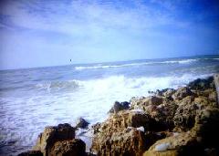 [AnnaMaria Island8]