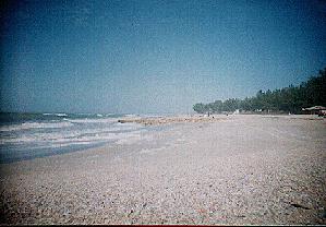 [Holmes Beach]