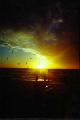 [Longboat Key 2]