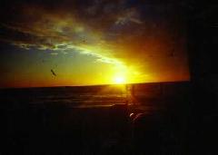 [Longboat Key 5]