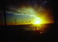 [Longboat Key]
