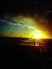 [Longboat Key 3]