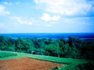 [Monticello View of the Mountains]